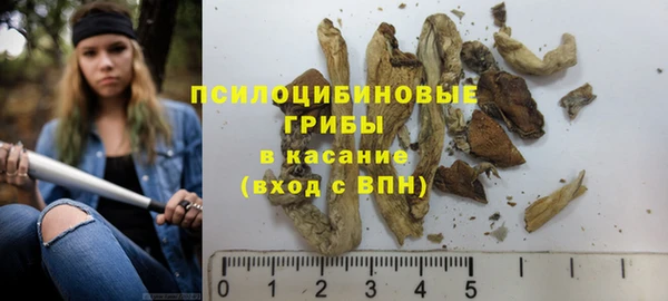стафф Абинск