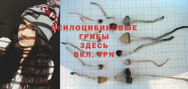стафф Абинск