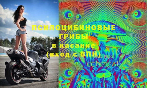 эйфоретик Абдулино