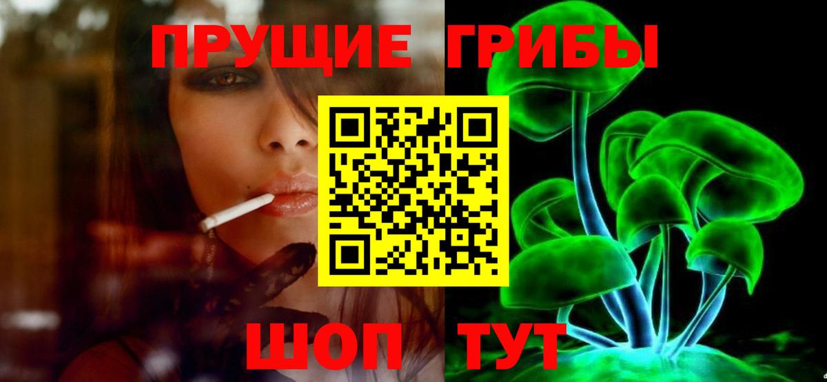 Оренбург  Галлюциногенные грибы прущие грибы  Вход с VPN  как найти   Галлюциногенные грибы прущие грибы 
